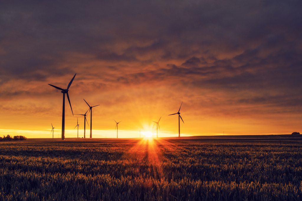Wind turbines in a grass field at sunset