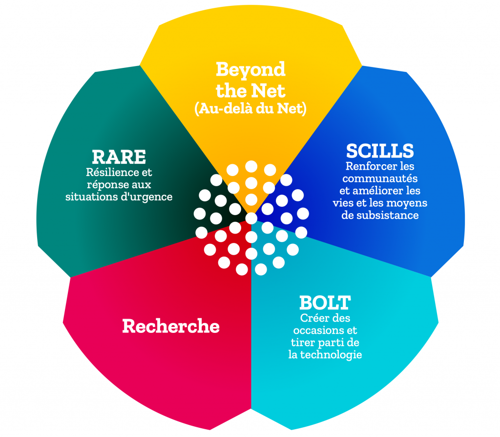 Illustration of the five Internet Society Foundation grants programs