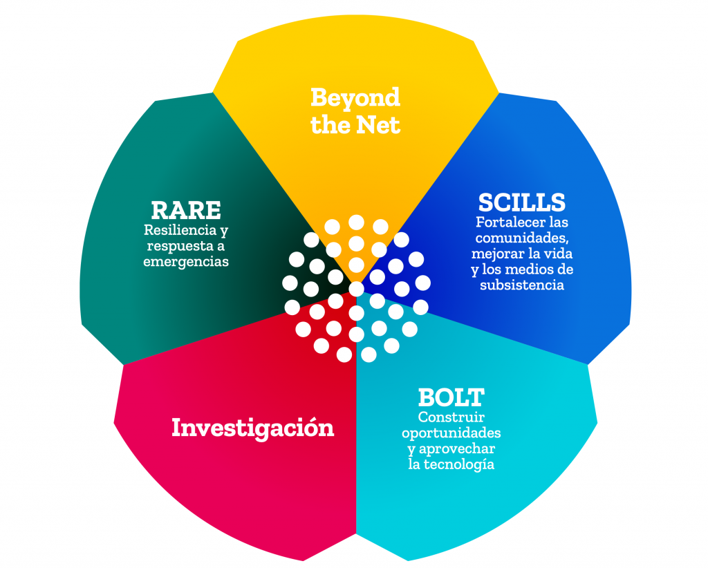 foundation_22_programs_es Illustration of the five Internet Society Foundation grants programs