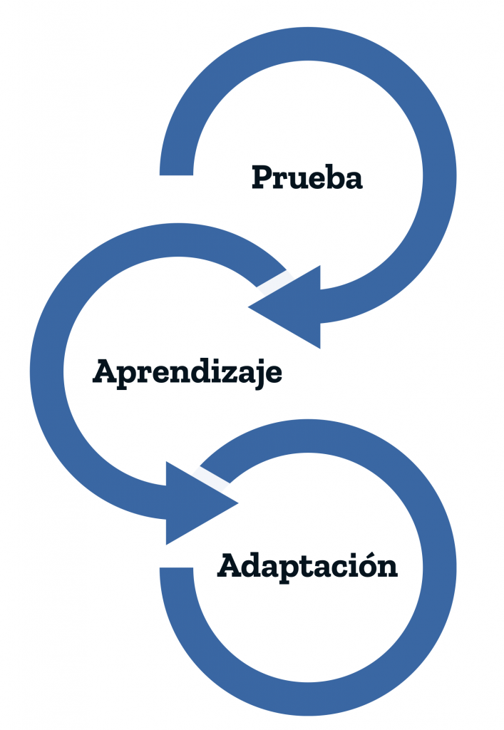 test-learn-replace-ES Prueba Aprendizaje Adaptación