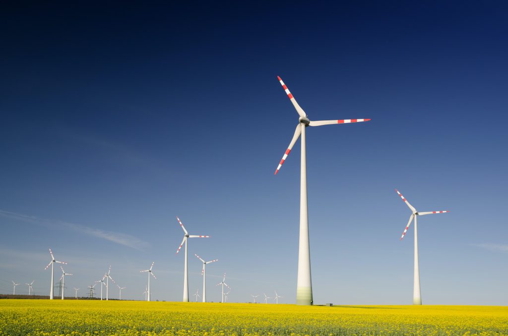 Wind turbines in a grass field against a blue sky