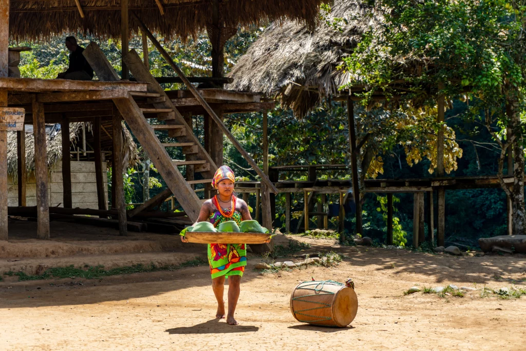 Panama - 2022: Embera Village Puru a young woman dressed in Paruma cloth brings a tray of food wrapped in banana leaves. Open air community kitchen. Embera are an indigenous people of Panama.
