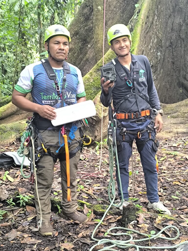Two men in climbing protective gear stand next to a tree.