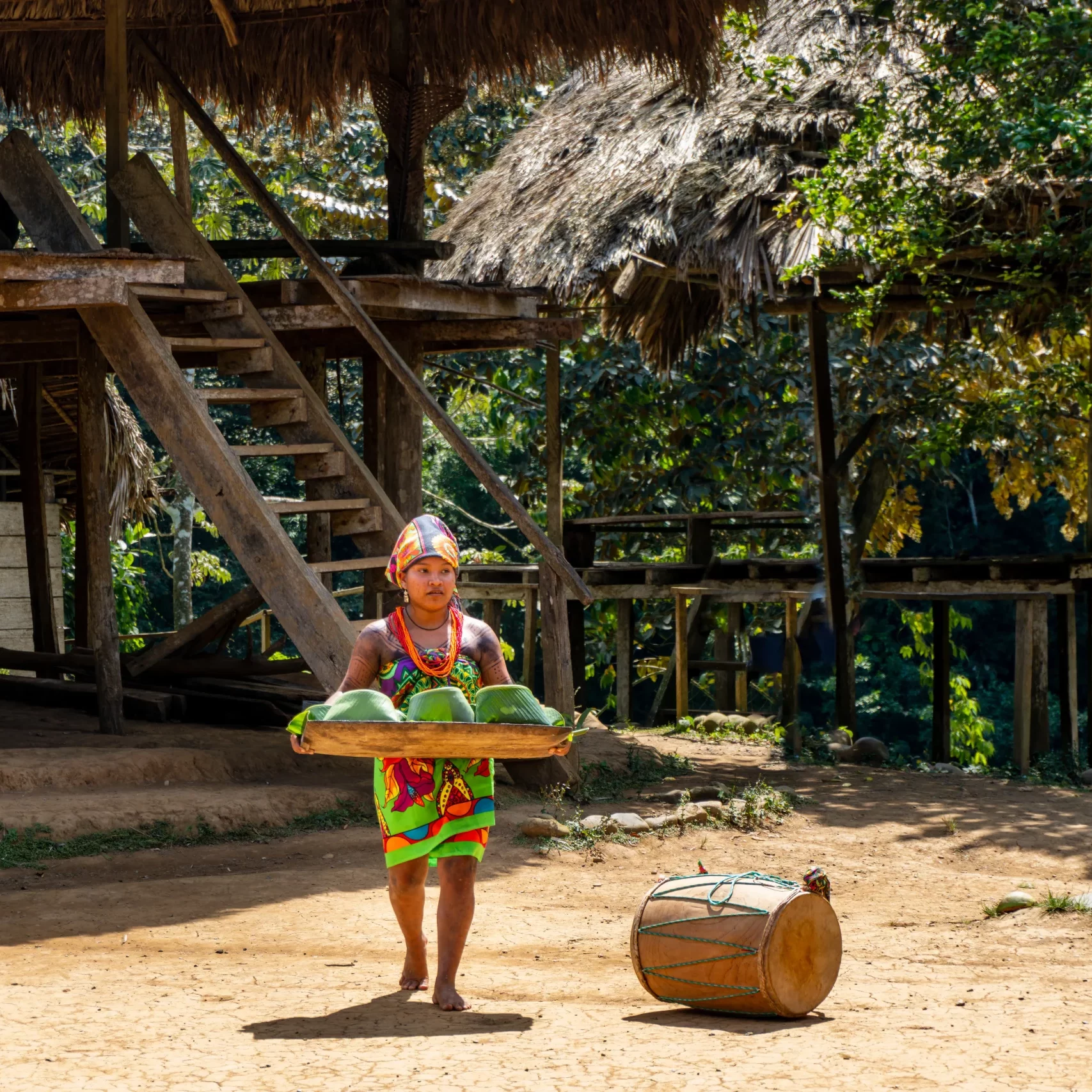Panama - 2022: Embera Village Puru a young woman dressed in Paruma cloth brings a tray of food wrapped in banana leaves. Open air community kitchen. Embera are an indigenous people of Panama.
