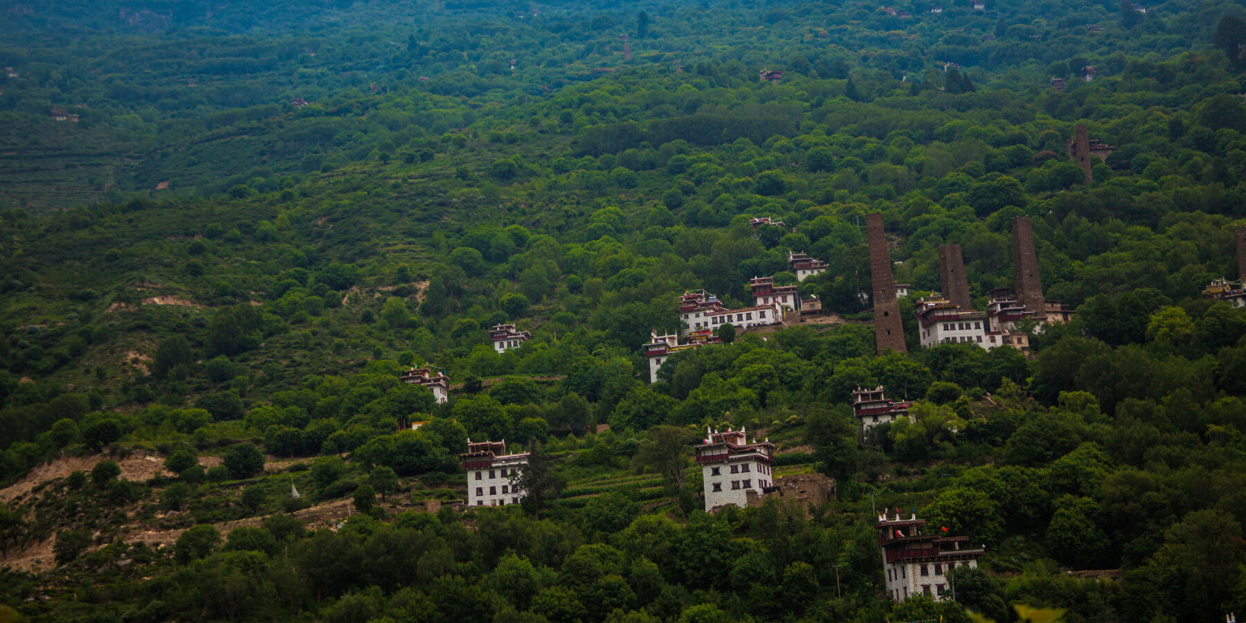 Tibetan village on wooded hillside