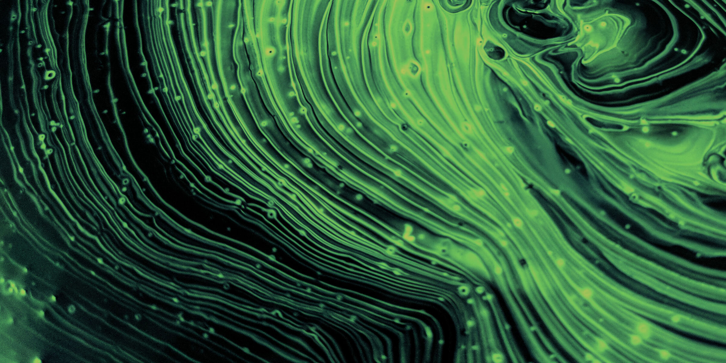 research-featured-header