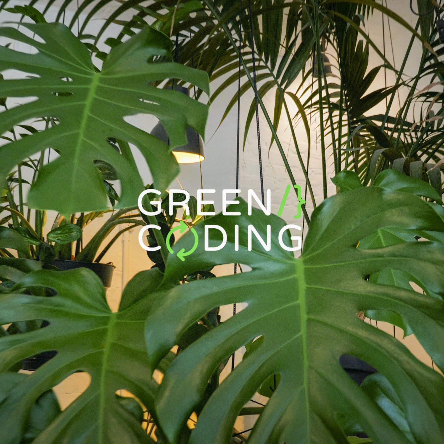 Background with plants and the title "Green coding"